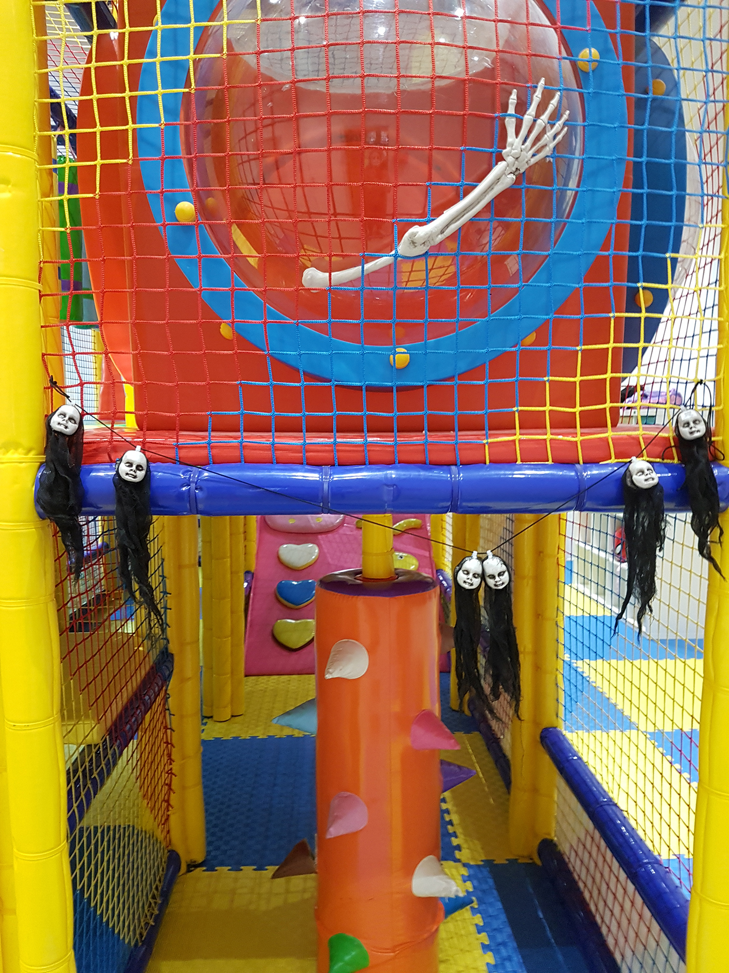 img5.jpg